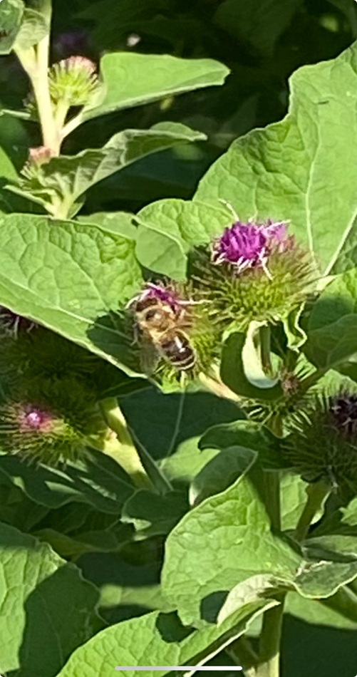 Eradicate the Patriarchy